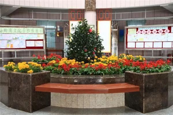 广东二师番禺附中今年本科率,番禺禺山高级中学与二师附中对比