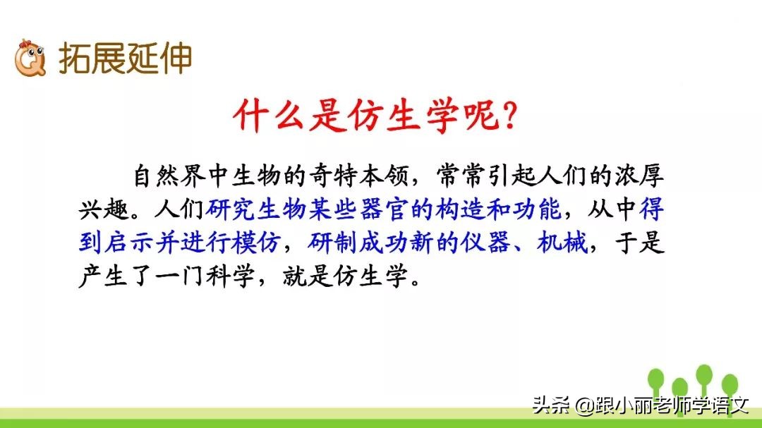 语文思维导图四年级上蝙蝠和雷达,人教版四年级上册蝙蝠和雷达朗读