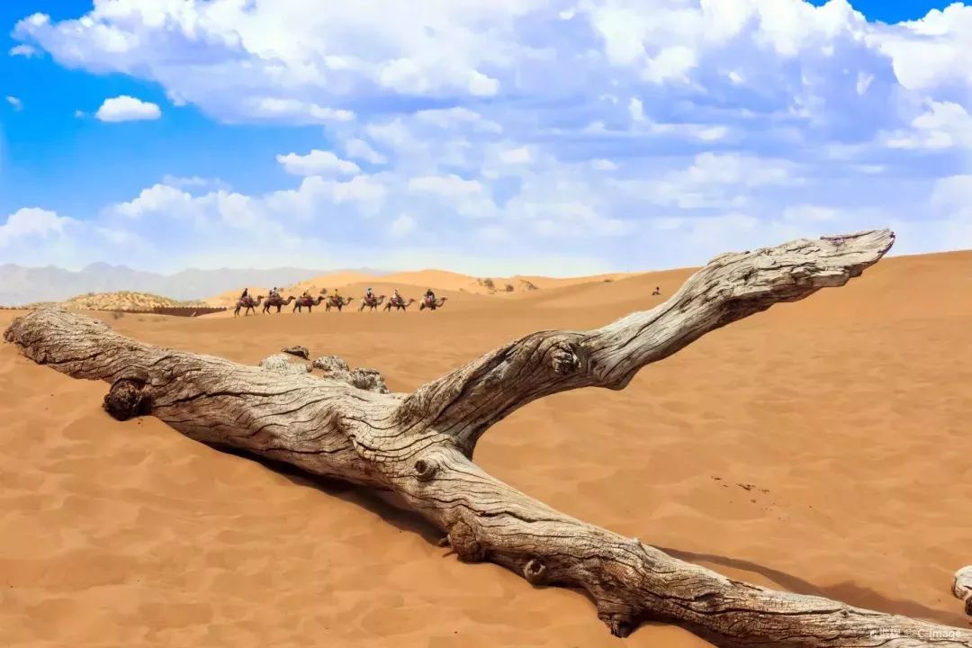 宁夏的夏天是什么样的,宁夏夏天有多热