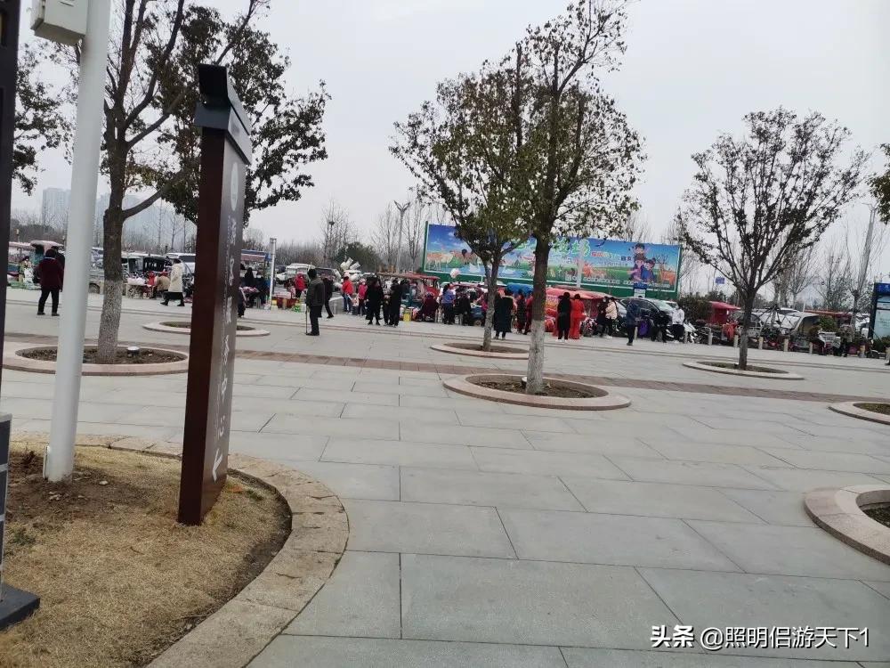 郑州园博园景区,郑州园博园攻略线路推荐图