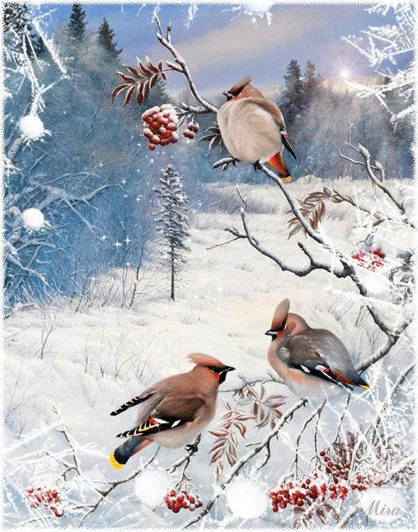 人生哲理图片带字唯美,文字动态图片大全唯美