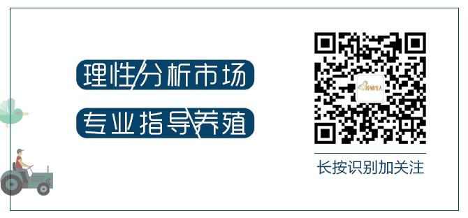 蚂蚱养殖现在前景如何,蚂蚱养殖有销路吗联系电话
