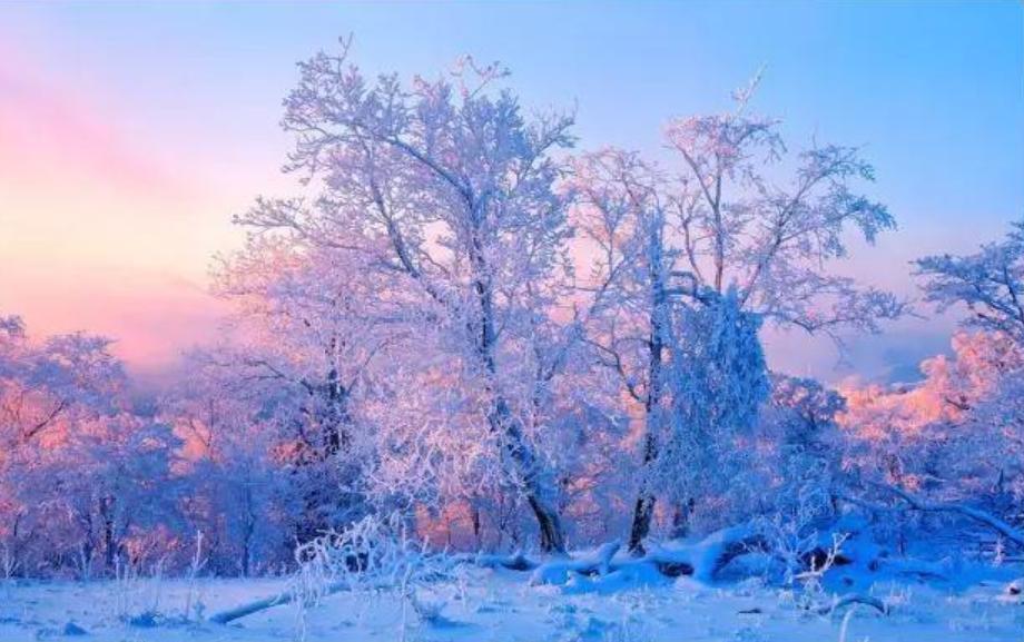 袁明忠|雪压梅枝梅压雪双铺锦地锦铺双(原创回文诗20组)