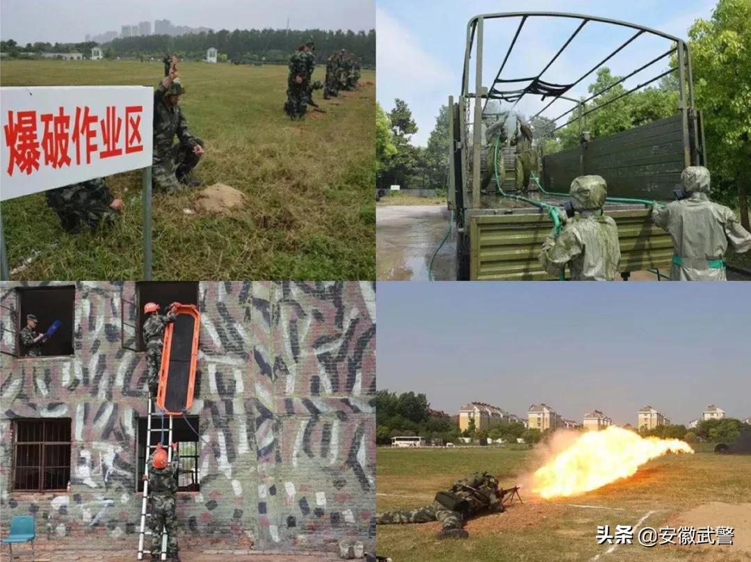 纪实视频,记实记录