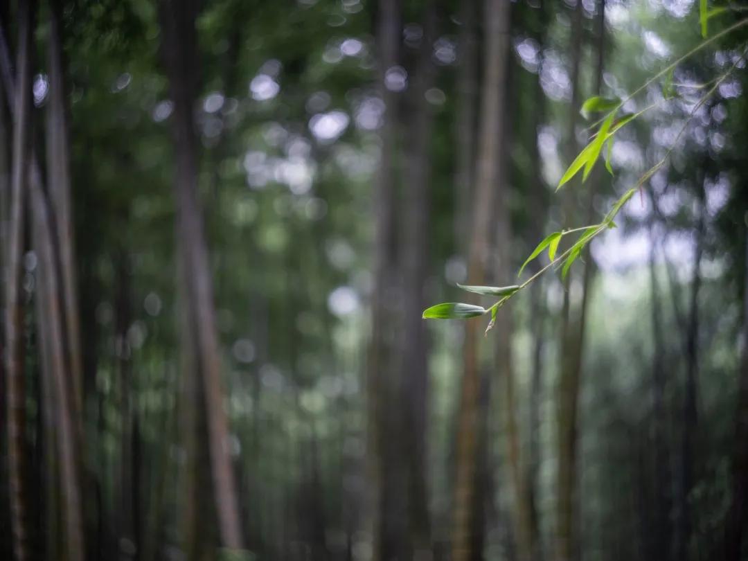 一周旅游推荐8月国内旅行,值得推荐的一月小众旅游