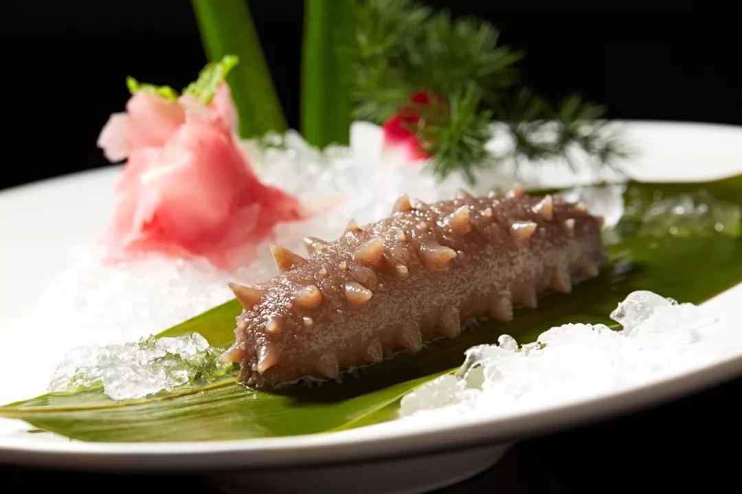 海参辽参刺参哪种参最好,海参刺参跟红参的区别