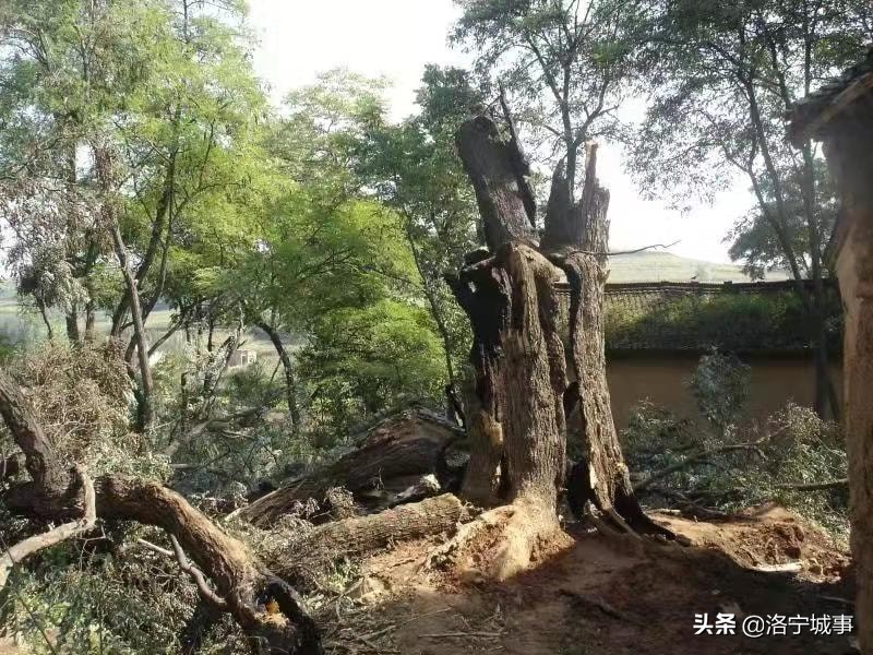 梅铺镇草庙岭,草庙岭游玩