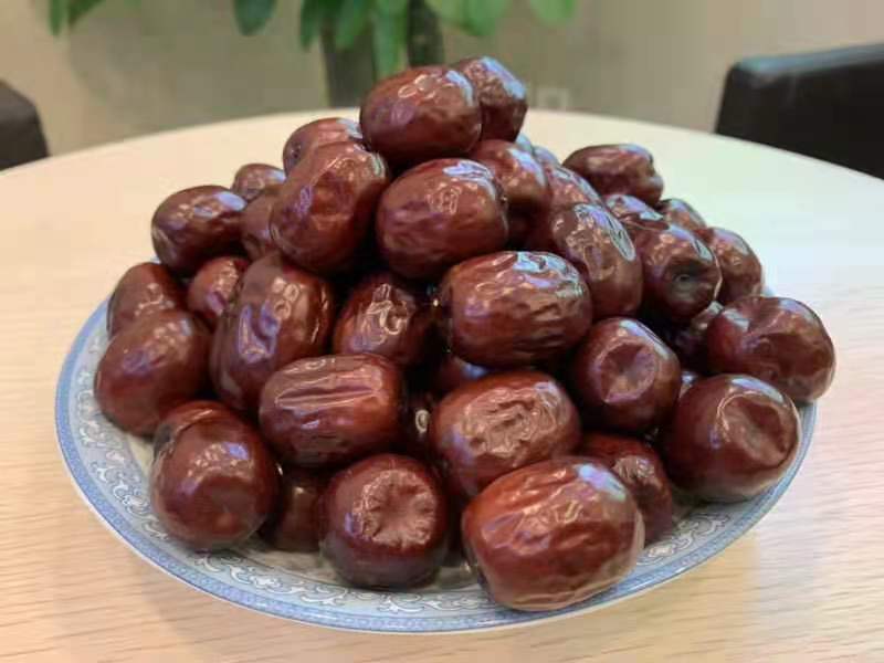 山西稷山板枣新品种,山西稷山板枣