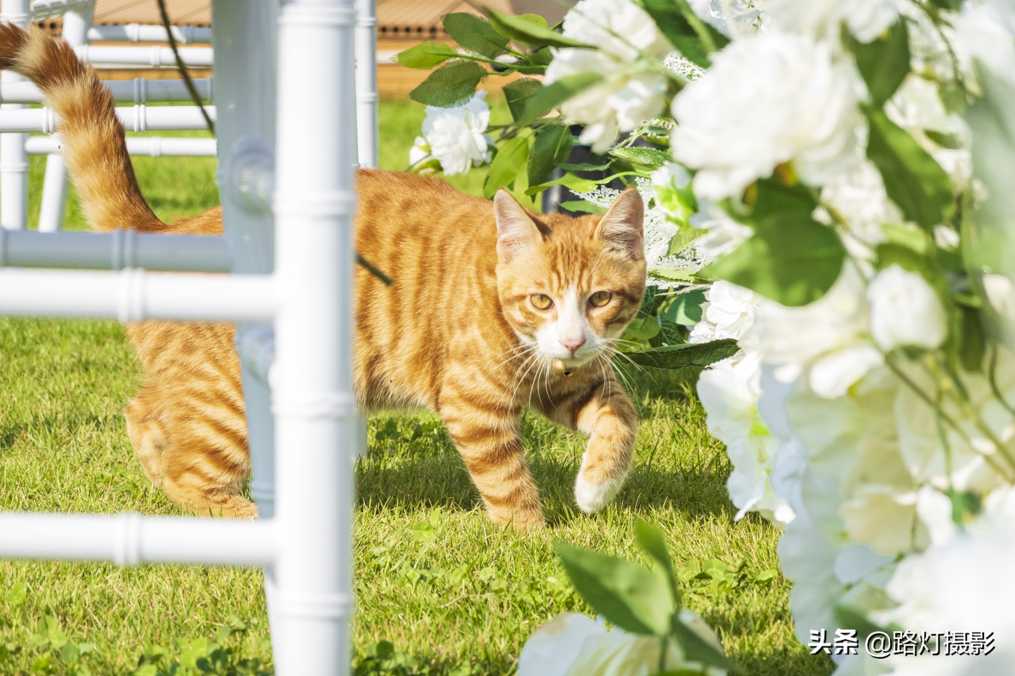 青岛旅游攻略秋冬景点推荐,夏天青岛旅游小众景点推荐