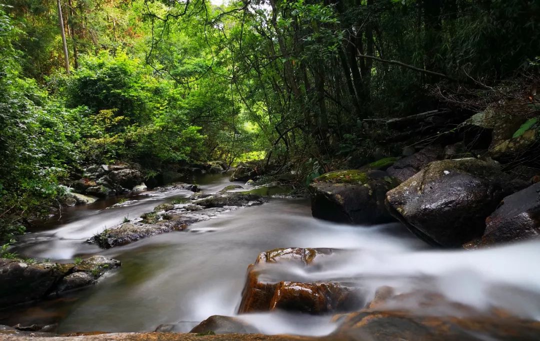 贺州姑婆山景区国家森林公园,贺州姑婆山森林公园路线
