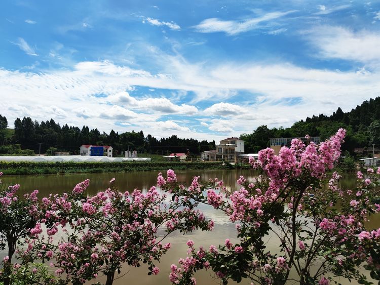 涔愯嚦鑽疯姳鎽勫奖浣滃搧娆ｈ祻,涔愯嚦鍗拌薄鎽勫奖