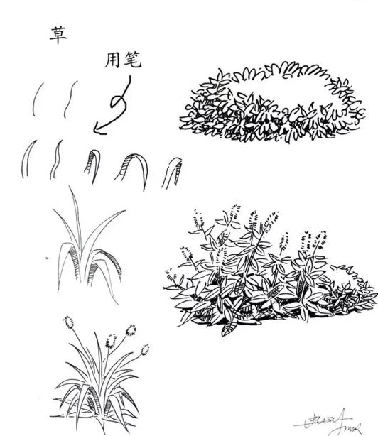 速写风景简单入门视频树木石头,干货40种水彩花卉临摹素材
