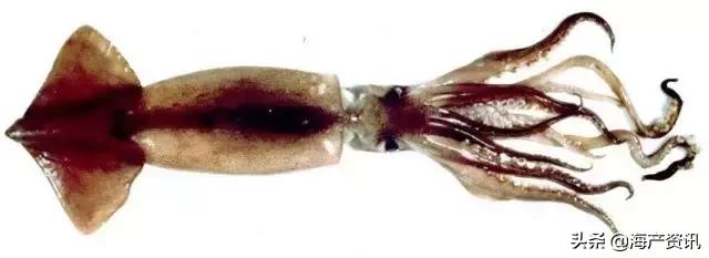 硬核科普全部,硬核科普大全视频