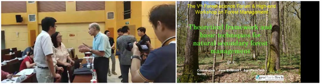 树木由来,树木从远古到现在