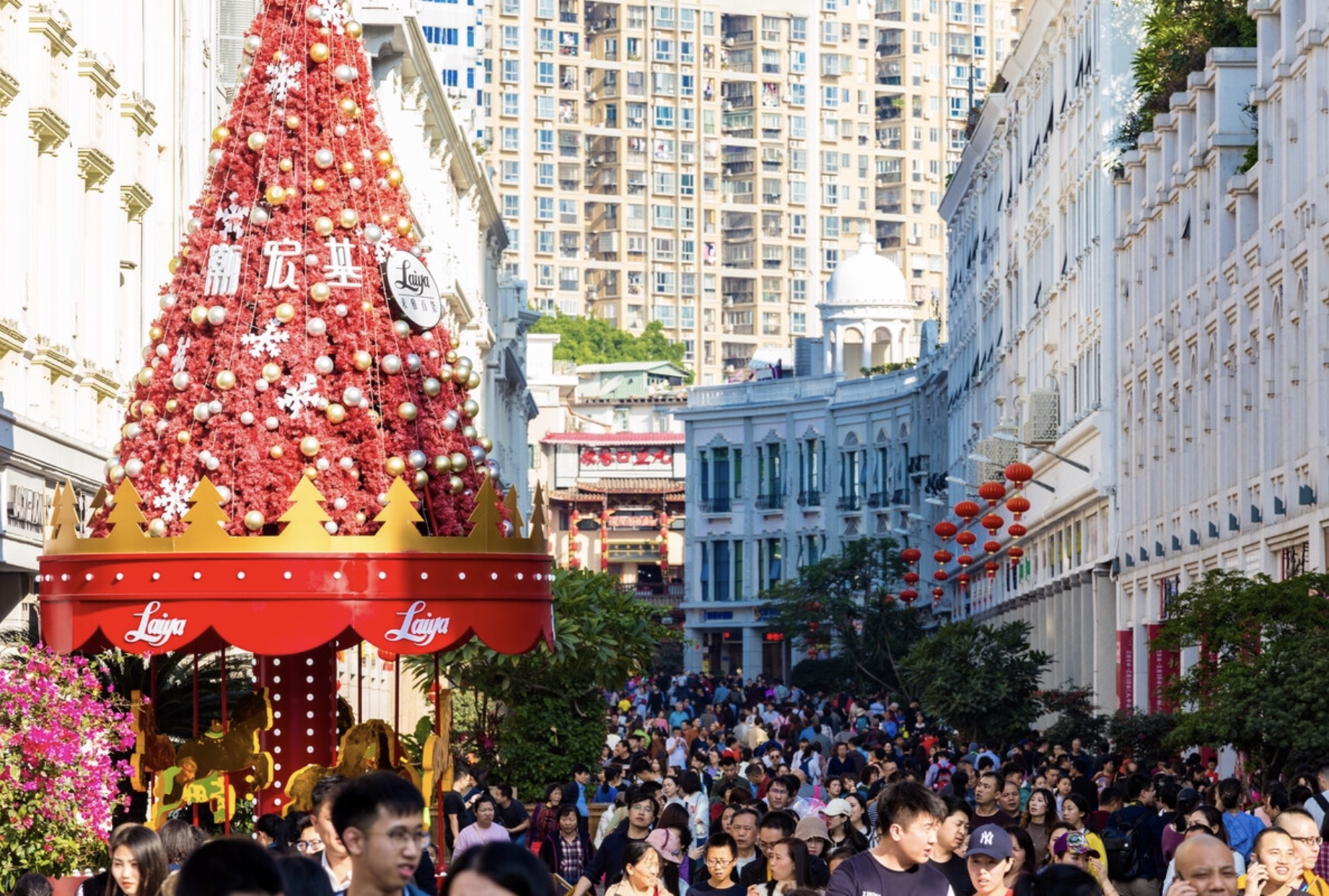 厦门海沧海上花园,厦门旅游必去的五大景点