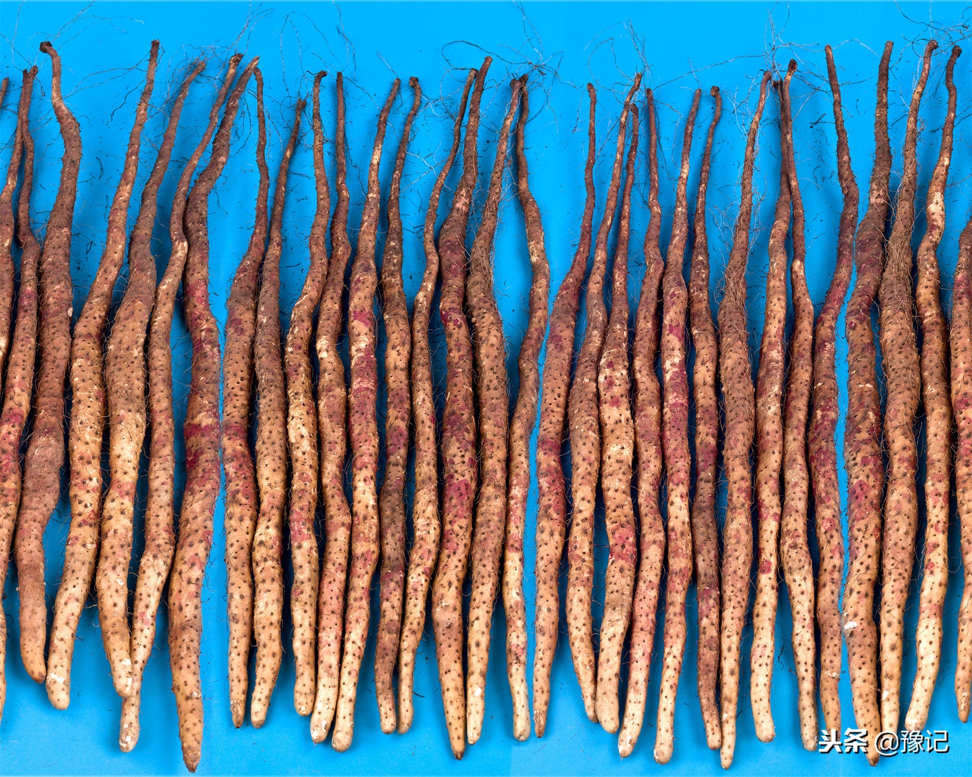 冬令进补春天打虎你真的补对了么,冬日进补来年打虎