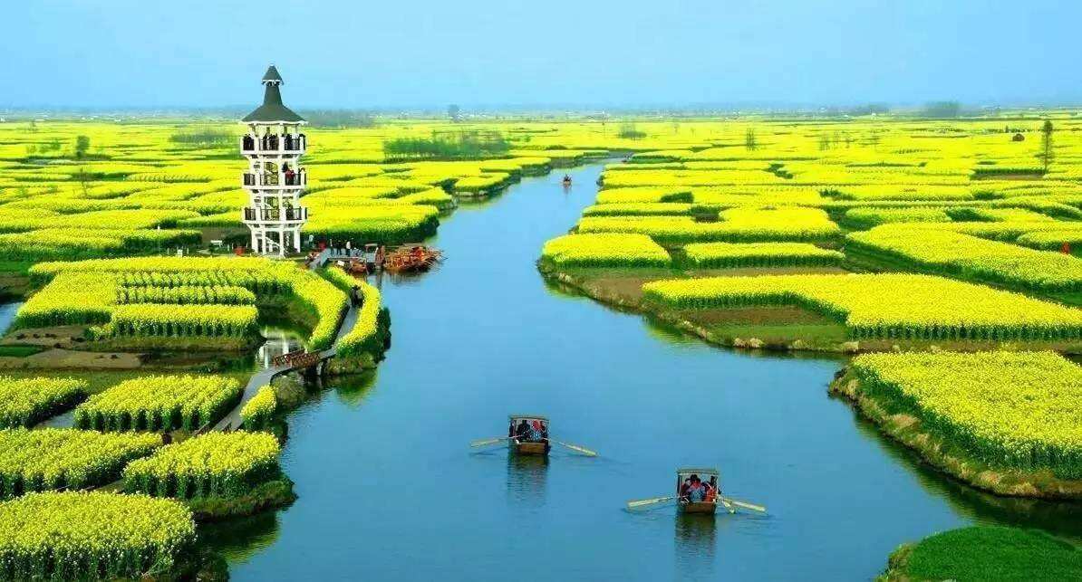 怎么实现农业项目多种盈利模式,个人投资农业项目怎么起步