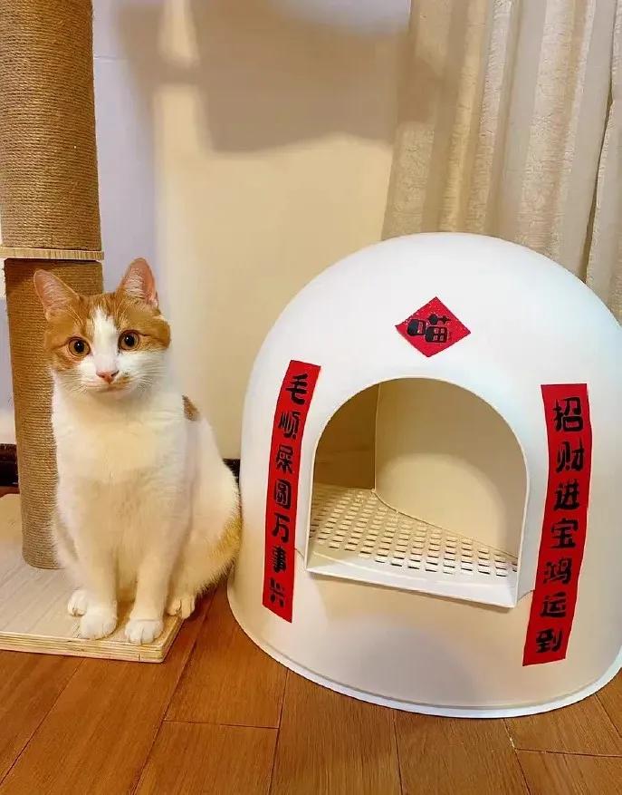 哪些瞬间让你觉得快过年了,哪个瞬间让你觉得过年了