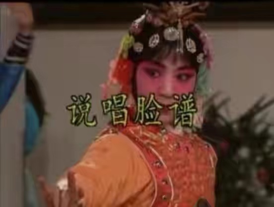 谢津和毛阿敏谁厉害,谢津毛阿敏同台