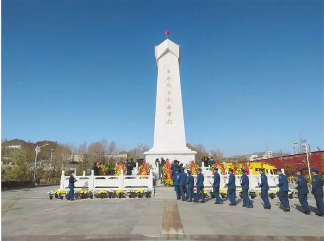 今天是烈士纪念日读后感作文,志愿军烈士祖国不会忘记