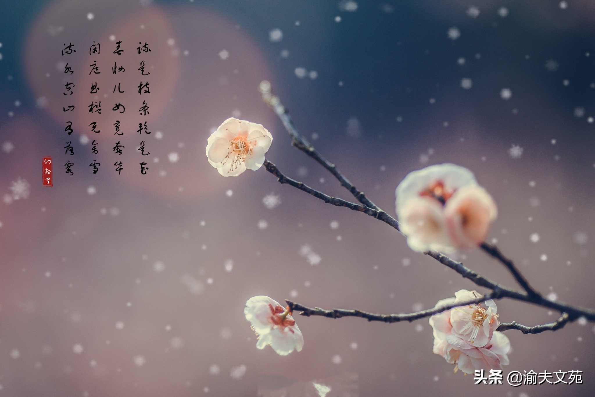 那些风花雪月的事小说在线阅读,那些年风花雪月的事小说