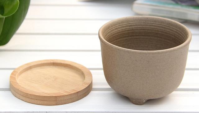 微景观绿植小花盆,各种小花盆有创意的