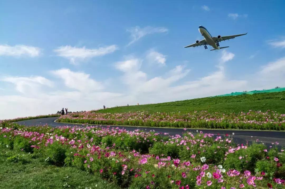 双流东升买房好还是航空港买房好,成都双流和温江买房哪个地方好