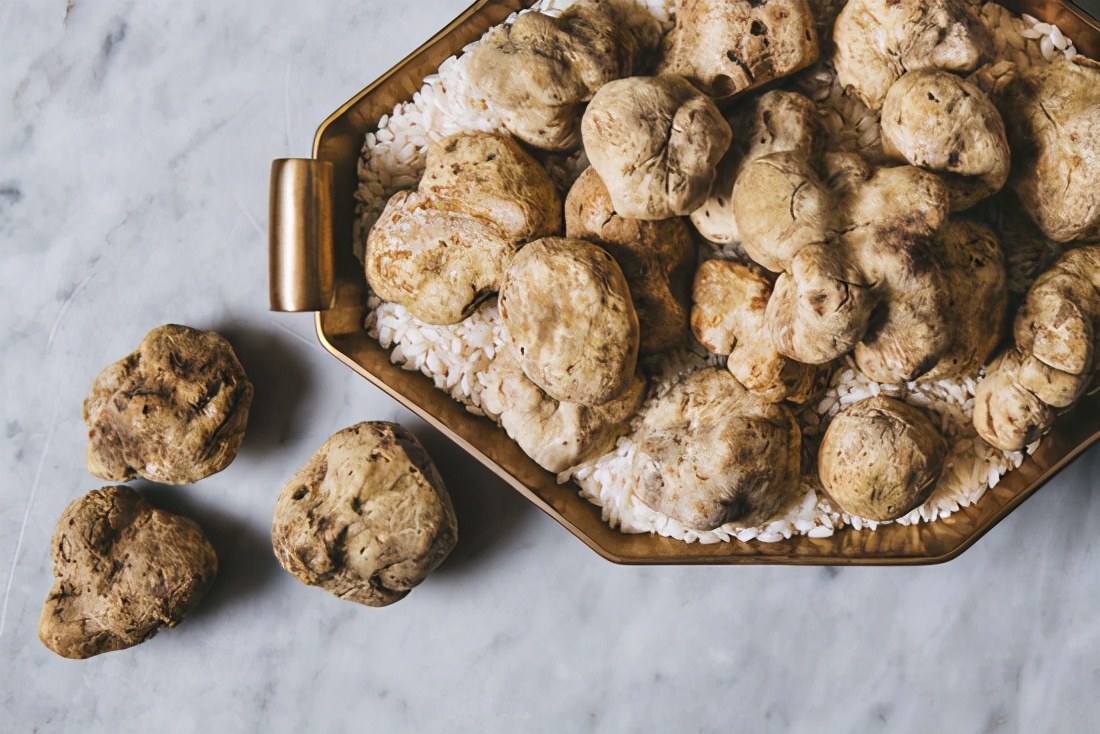世界上珍贵食品,世界哪些顶级食材