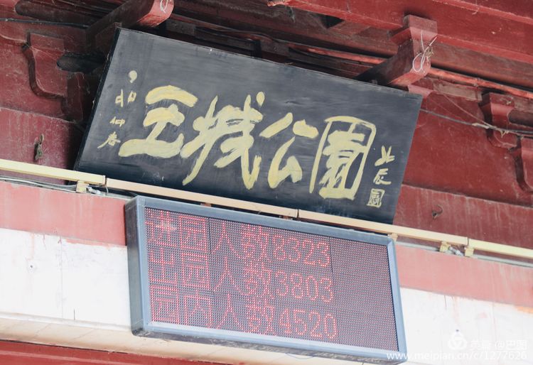 看洛阳牡丹花卉节,洛阳古都牡丹花展