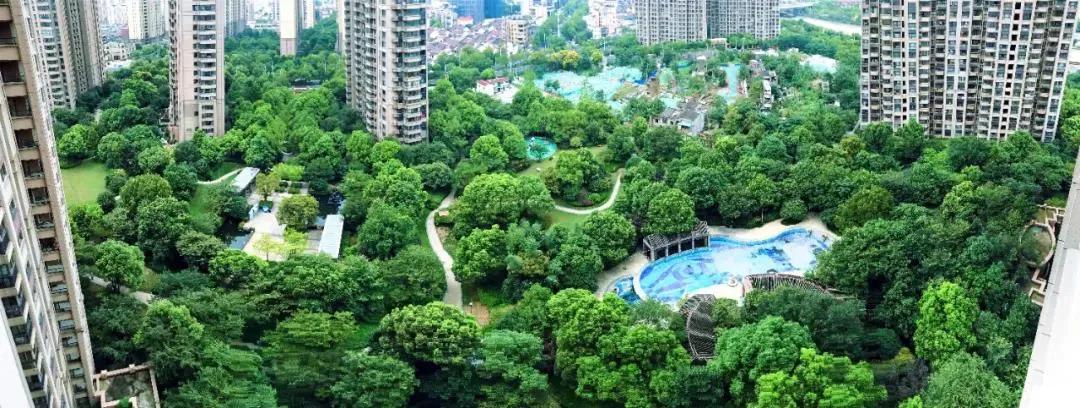 万科是怎样活下去的,万科地产优等生