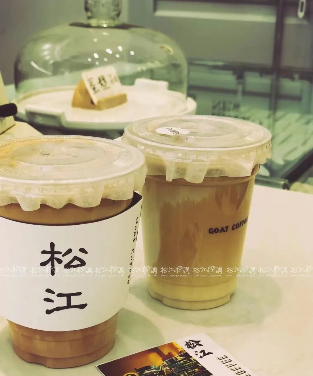 松江佘山辰山植物园一日游攻略,松江方塔园哪好玩