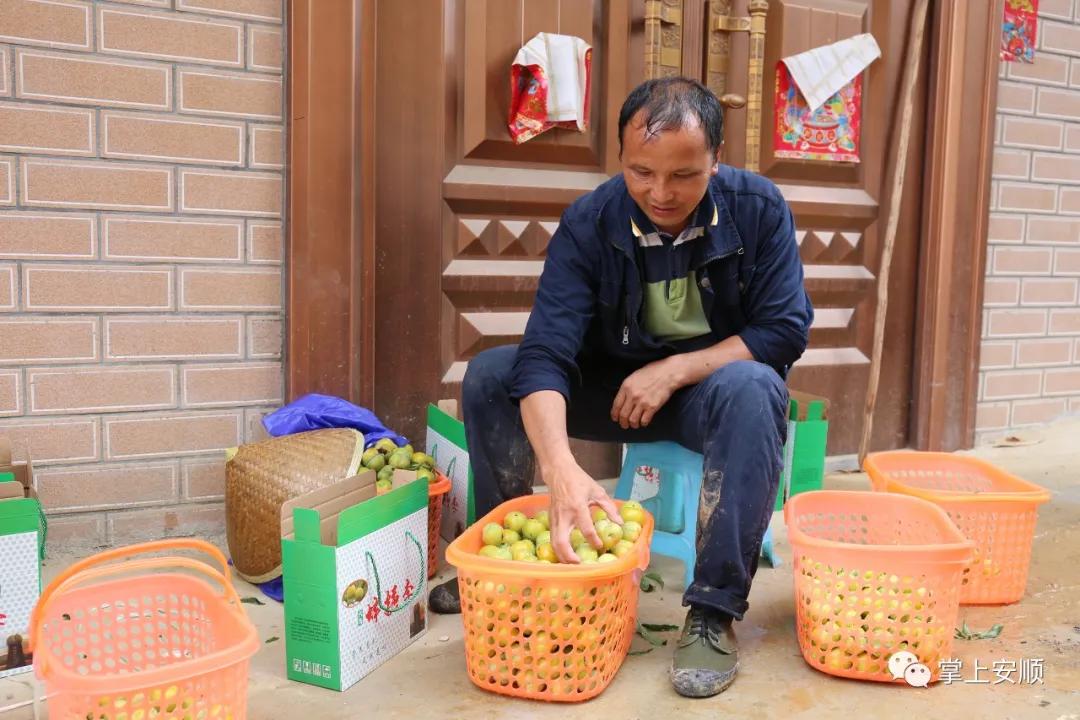 小李子为什么这么强,小李子大产业视频