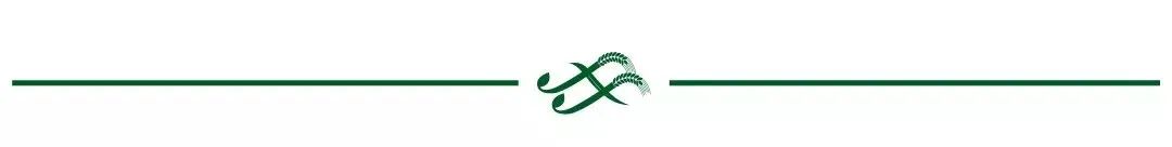 creekevolution功放怎么样,朗泉5050合并功放二手