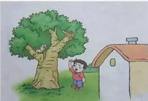 一二年级看图写作方法及例文,一二年级看图写话写作方法