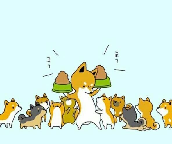 狗狗特别挑食不吃饭怎么办,狗狗挑食不听话怎么办