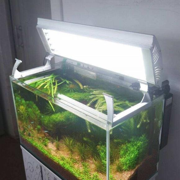 最好的冷却水箱,一般用多大的水箱好