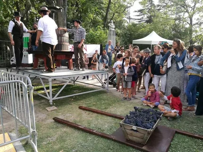 法国葡萄园干活,在法国上班