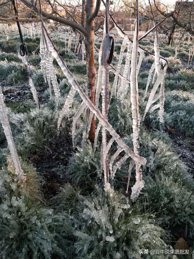 陕西商洛下冰雹视频,商洛市发布冰雹橙色预警