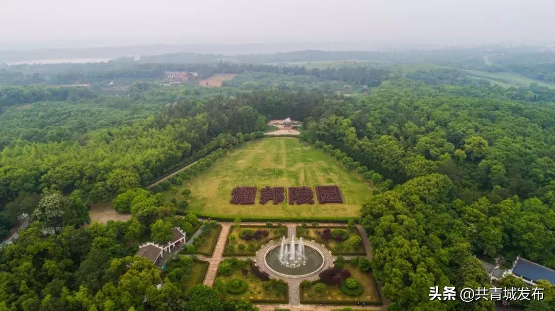 从a到z的成长,从a到z爱上茶的理由