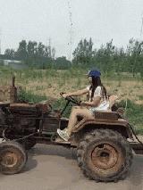 这只鹦鹉一直以为他是一只猴,所以每天都在重复做这个动作