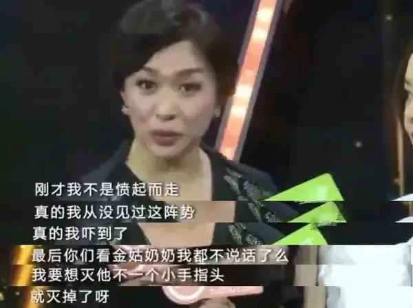 宁静怼乐嘉集锦,宁静谢娜乐嘉综艺节目