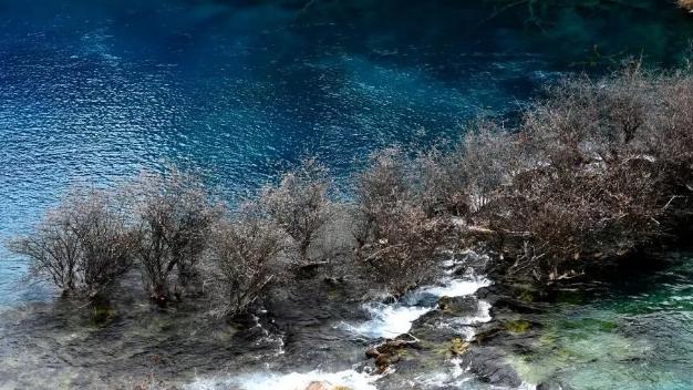 九寨沟跟团2天旅游团报价,重庆九寨沟旅游团正常价格