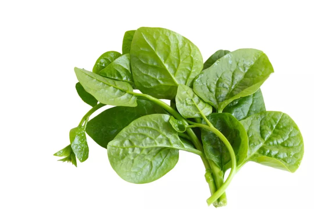 男人身上最脆弱的是蛋蛋，女人的是？答案可能出乎意料