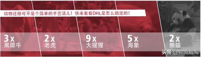 DHL的50年：12万名员工，就是12万名国际快递专家