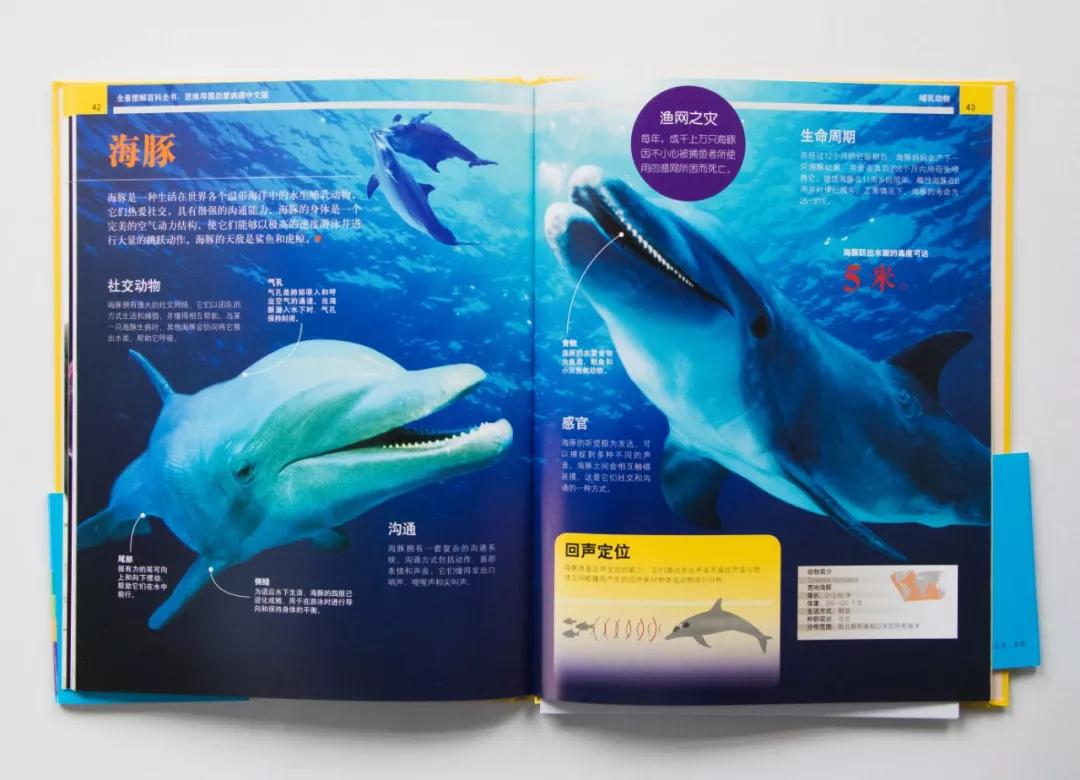 中国科学院院士讲解视频,中国科学院院士谈中国科学