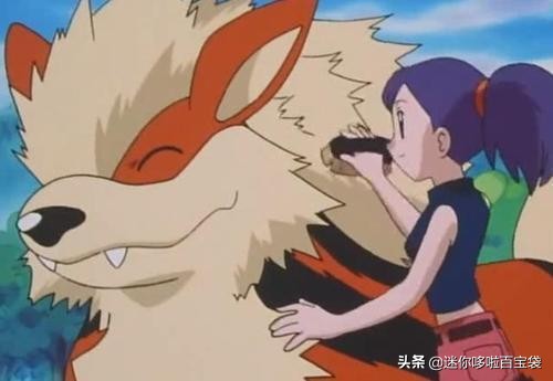 神奇宝贝十大稀有宝可梦,神奇宝贝一般系宝可梦图鉴