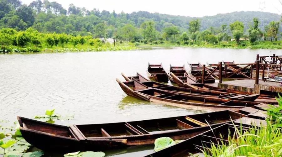 今年夏天在武汉必做的十件事,武汉新春过年坐地铁打卡攻略