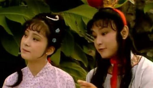 贾宝玉如何对待袭人和晴雯的,贾宝玉为什么给袭人来上一脚