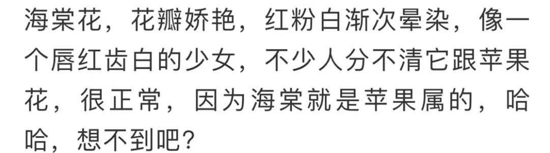 看到花的时候,不知是什么花?那就收下这份百花图谱