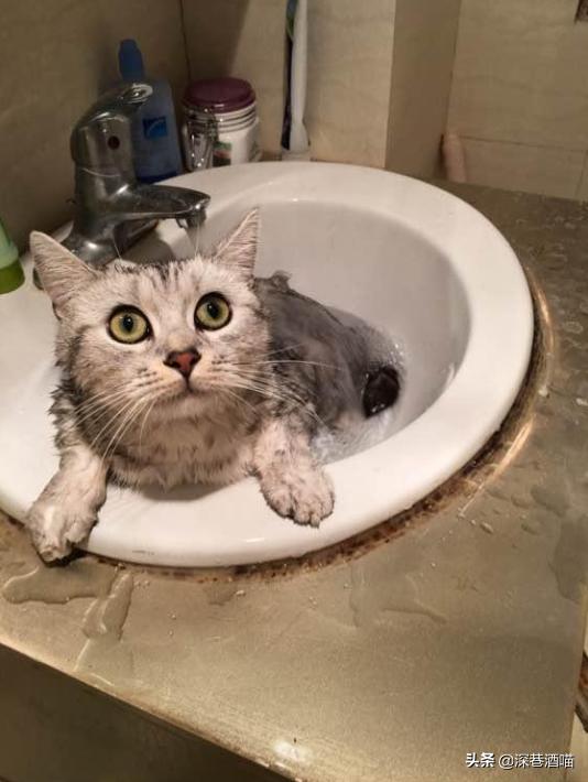 鍘荤埅鎵嬫湳瀵圭尗鏈夊澶х殑浼ゅ,妫夌澶ф硶鍚庡彲浠ョ粷鑲插悧